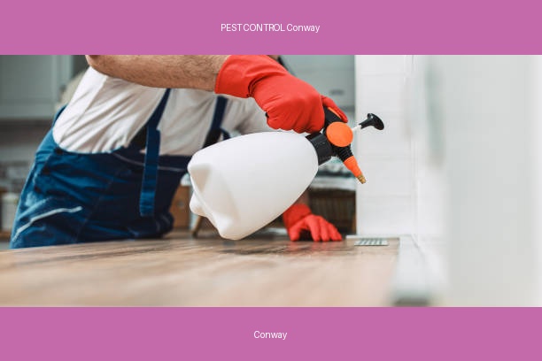 PEST CONTROL Conway